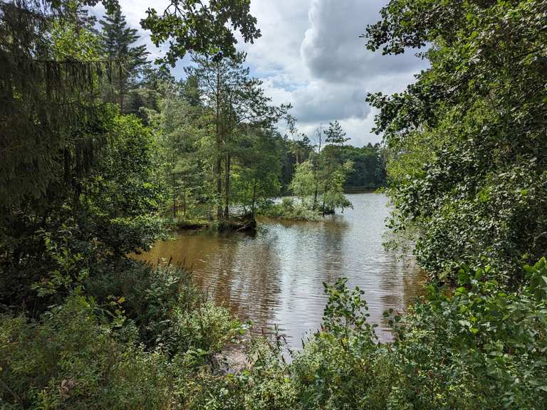 Spaziergänge und leichte Wanderungen im Talauen Von Nidder Und ...