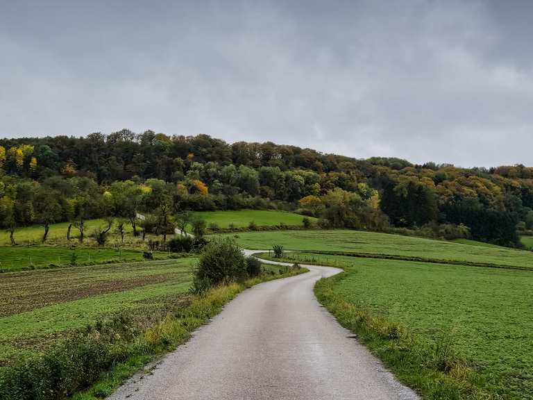 Attractions and Places To See in Luxembourg Canton - Top 20