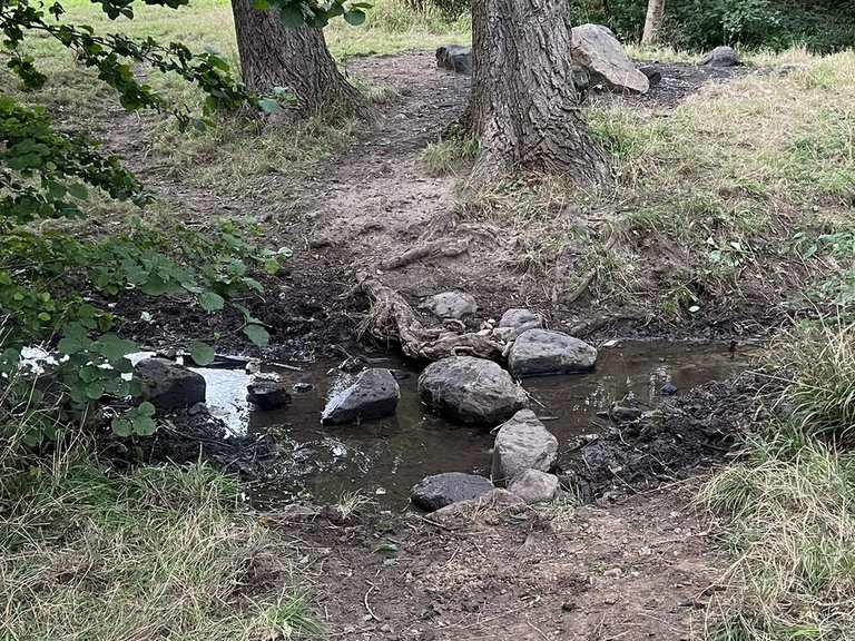 Easy hikes and walks around Loch Macaterick | Komoot
