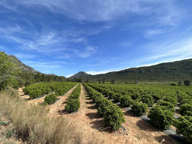 Attractions and Places To See in Valencia - Top 20 - Komoot