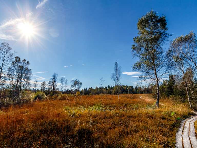 Die 10 schönsten Wanderungen rund um Kißlegg | Komoot