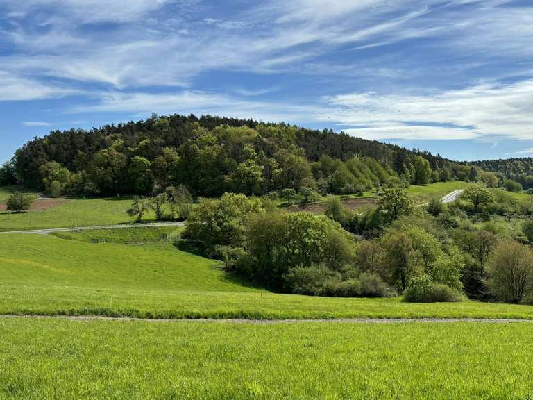 Die schönsten Wanderungen rund um Haibach | Komoot