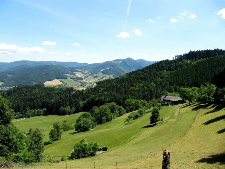 Top 20 Hikes and Walks in the Black Forest Komoot