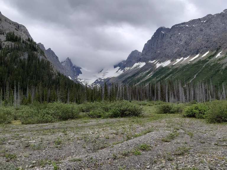 Top 5 Bike Rides and Cycling Routes in Peter Lougheed Provincial Park ...