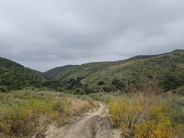 Attractions and Places To See in the Santa Ana Mountains - Top 20