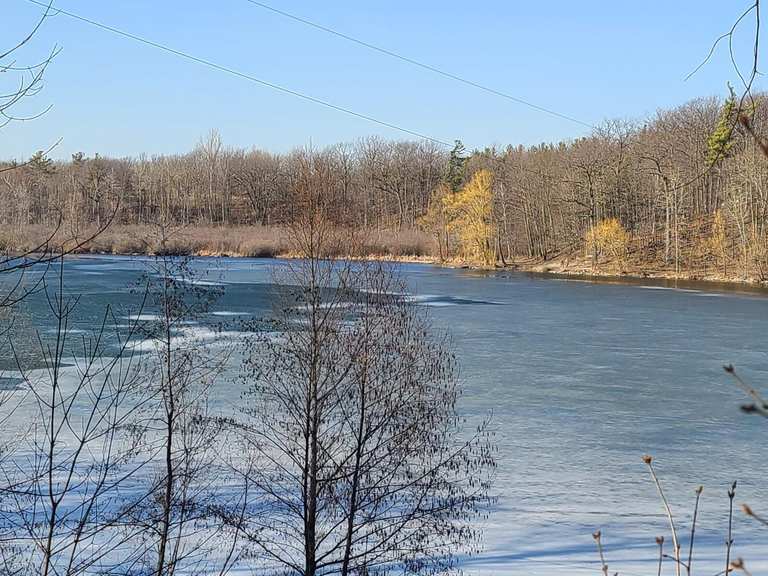 The best walks and hikes in Heart Lake Conservation Area | Komoot