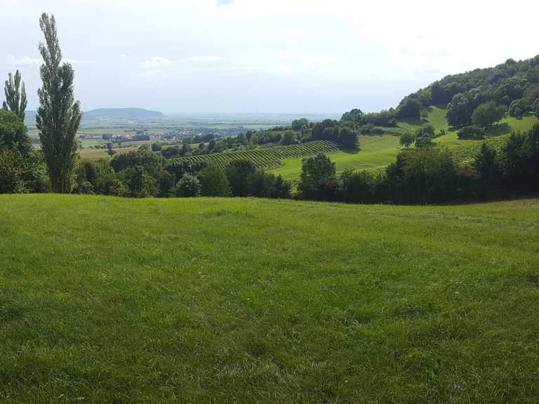 Top 20 Hikes And Walks Around Iphofen Komoot