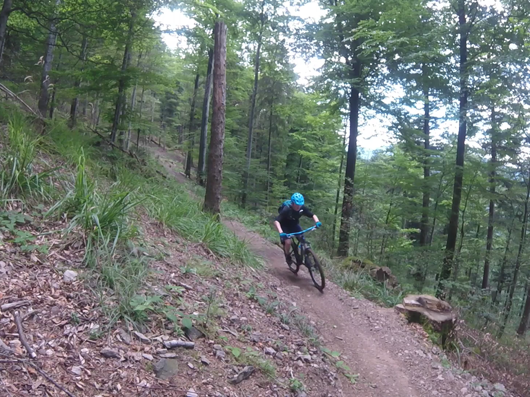 Top 10 Most Beautiful MTB Trails in the Black Forest Komoot