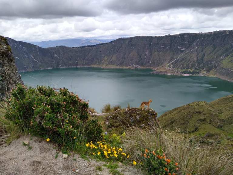 Ausflugsziele in der Cordillera Real (Ecuador) - Die Top 20 | Komoot
