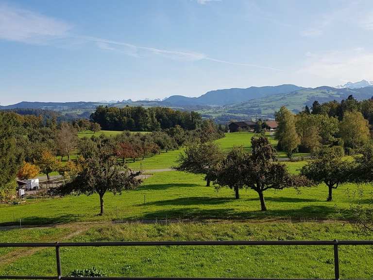 Ausflugsziele rund um Kappel am Albis - Die Top 20 | Komoot