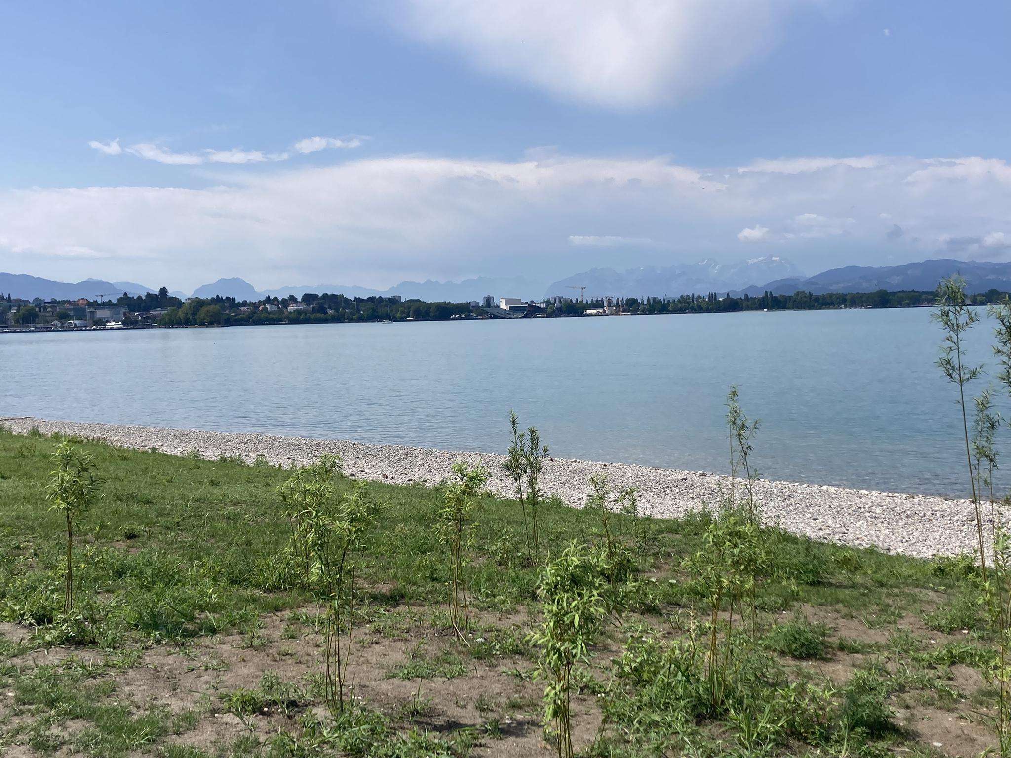 Attractions and Places To See around Rheineck - Top 20 | Komoot