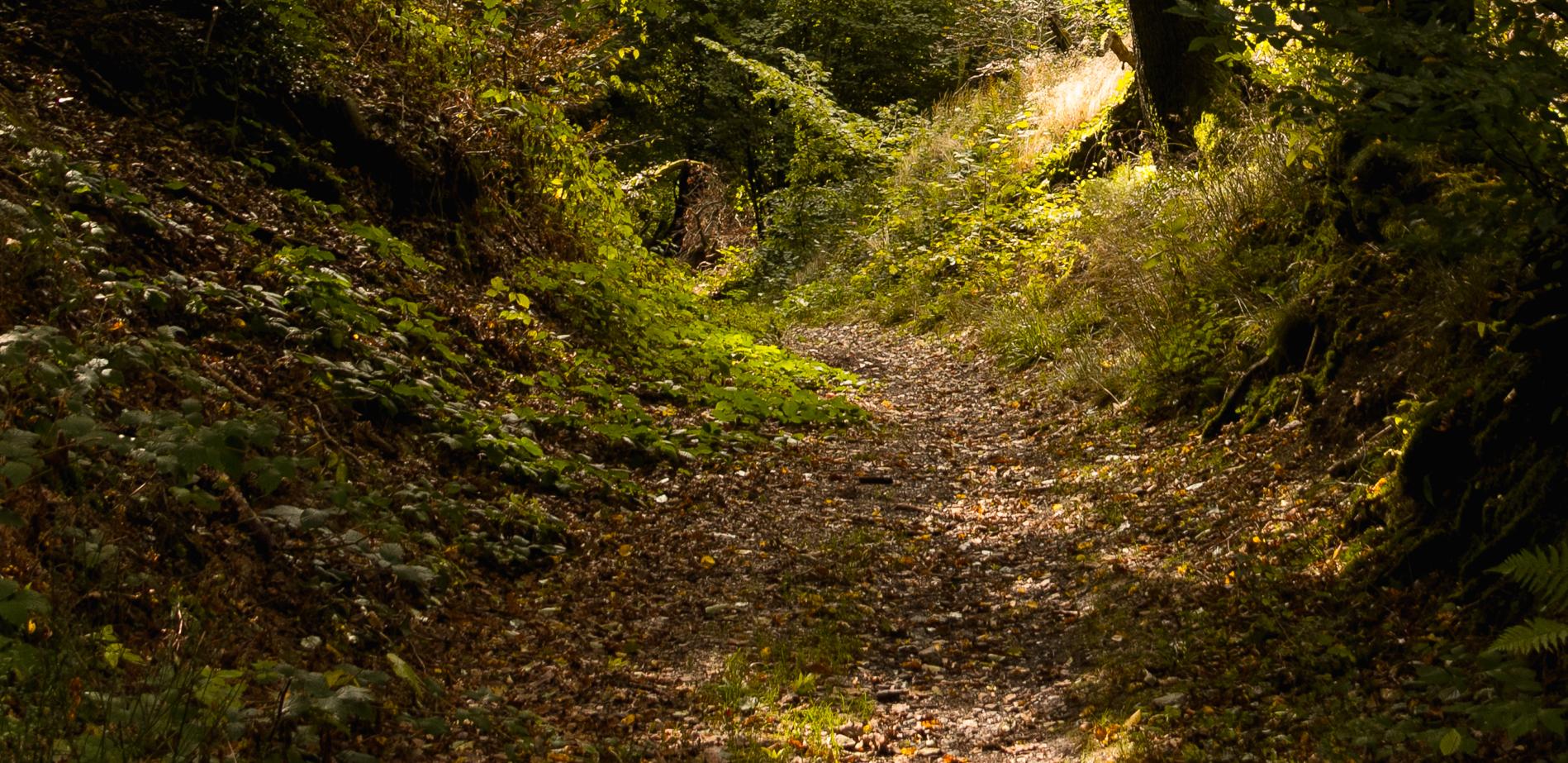 Ausflugsziele Rund Um Aachen Die Top 20 Komoot Komoot