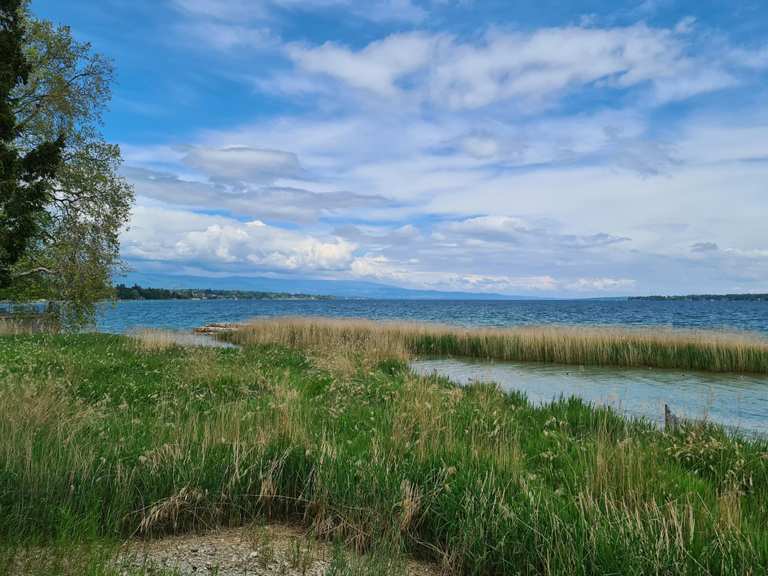 Attractions and Places To See around Bellevue - Top 20 | Komoot