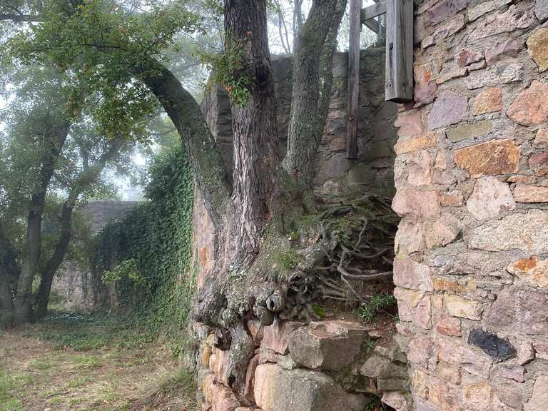 Parhaat perheystävälliset vaellukset lähellä Parc Du Mont Loup-Garou ...