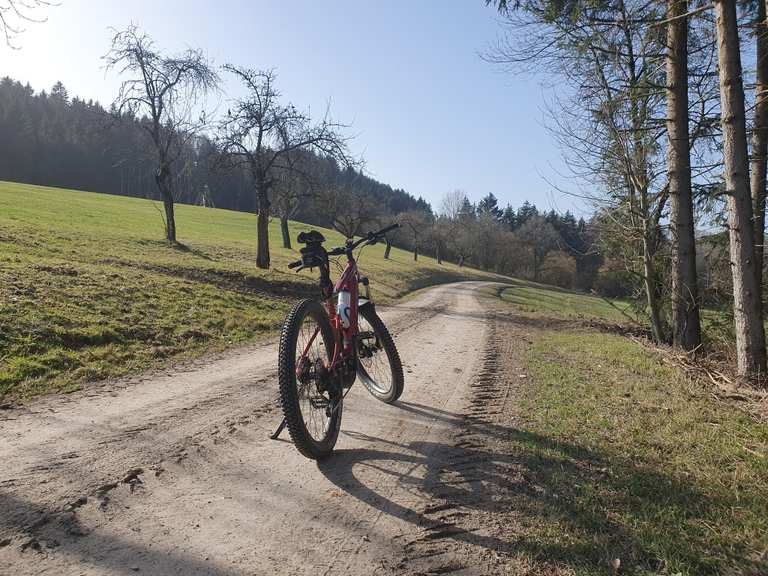The best hikes from bus stations in Chartley Moss National Nature ...