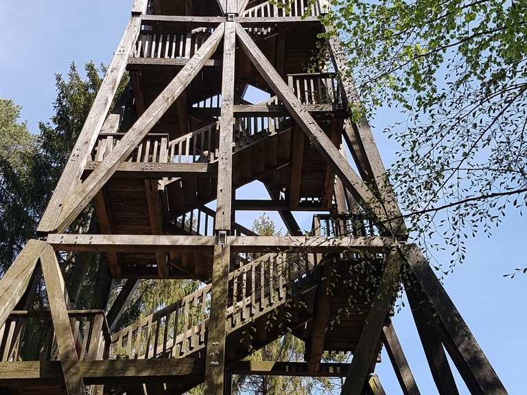 De mooiste wandelingen vanaf bushaltes in Blawhorn Moss National Nature ...
