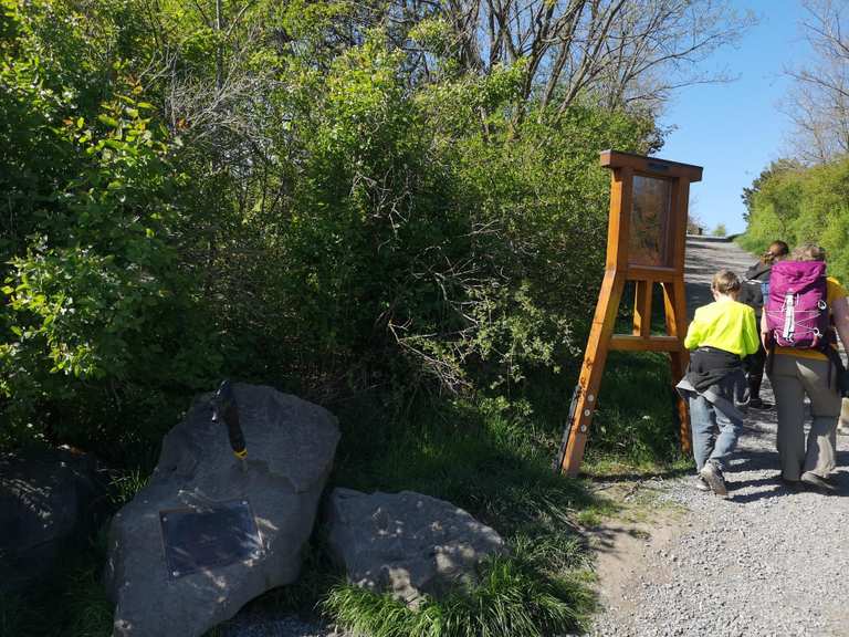Les meilleurs parcours vélo sans trafic dans Killard National Nature ...