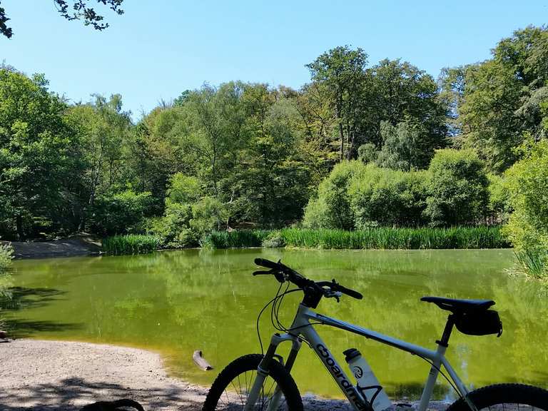 Parks with sales bike trails