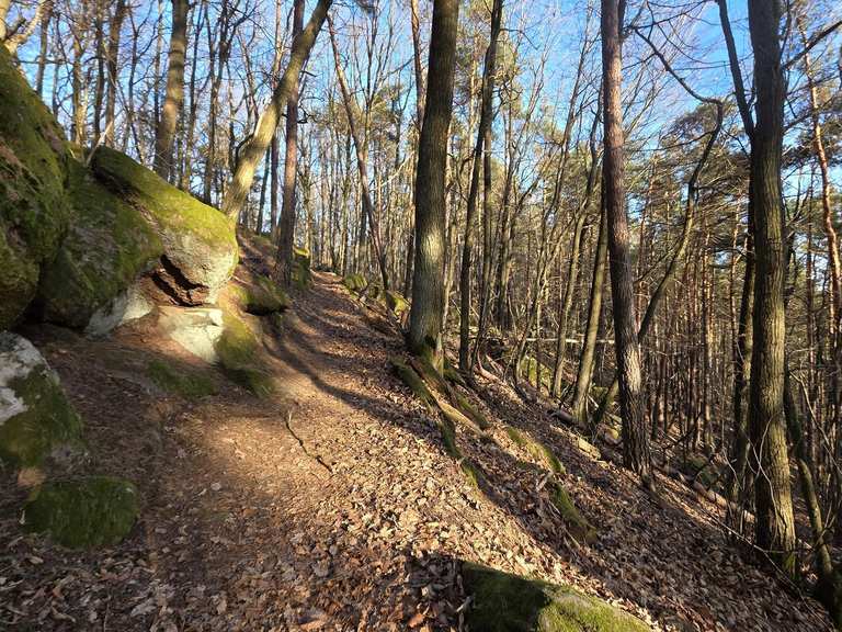 The best family-friendly hikes and walks in East Riding of Yorkshire ...