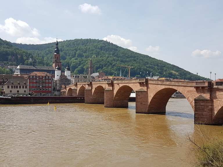 Die schönsten autofreien Radtouren rund um den Forstsee | Komoot