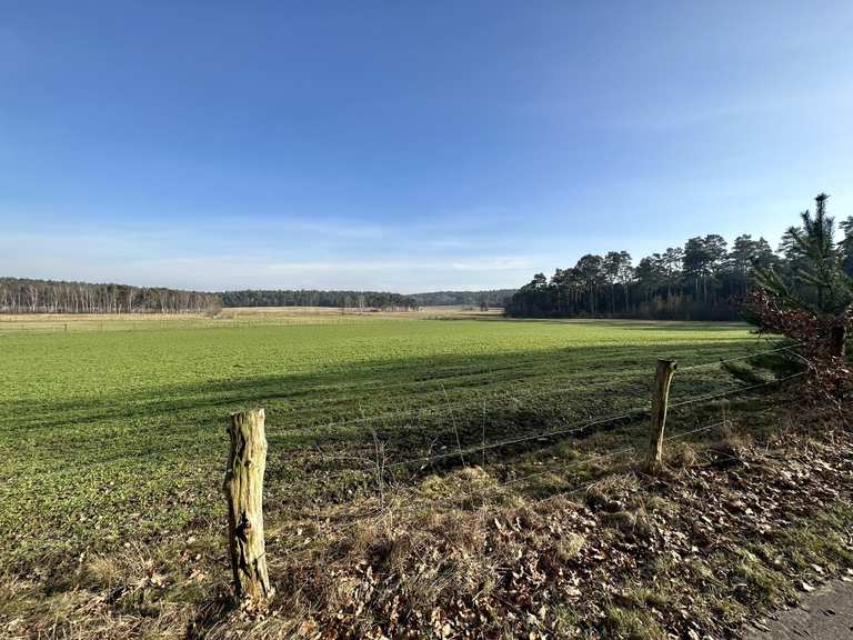 Die schönsten Wanderungen rund um Melbeck | Komoot