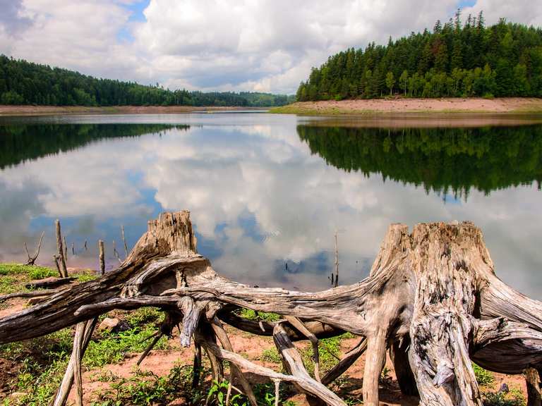 Le 10 escursioni e trekking migliori a Meurthe e Mosella komoot