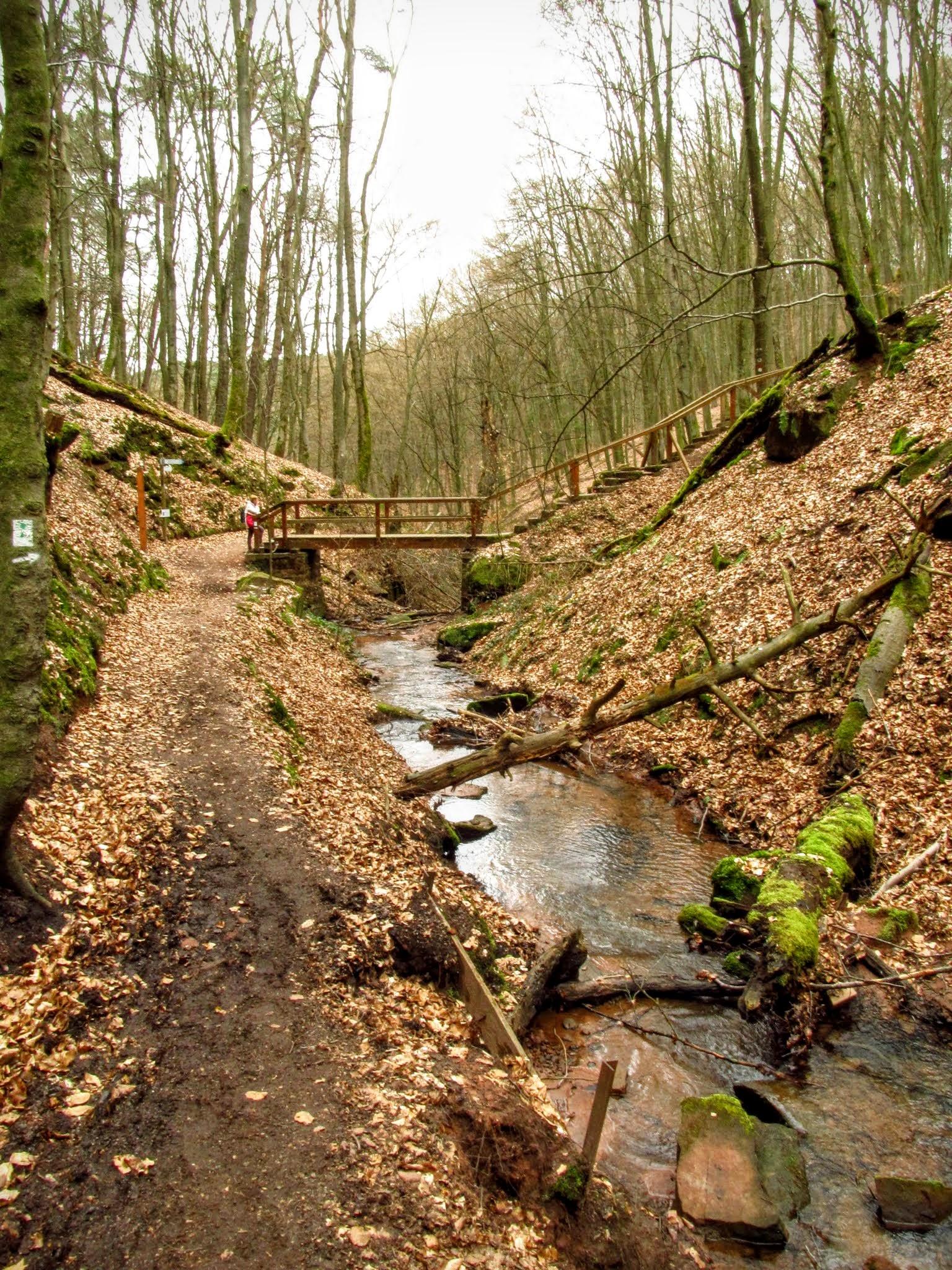 Die 10 Schönsten Wanderungen Rund Um Landstuhl | Komoot