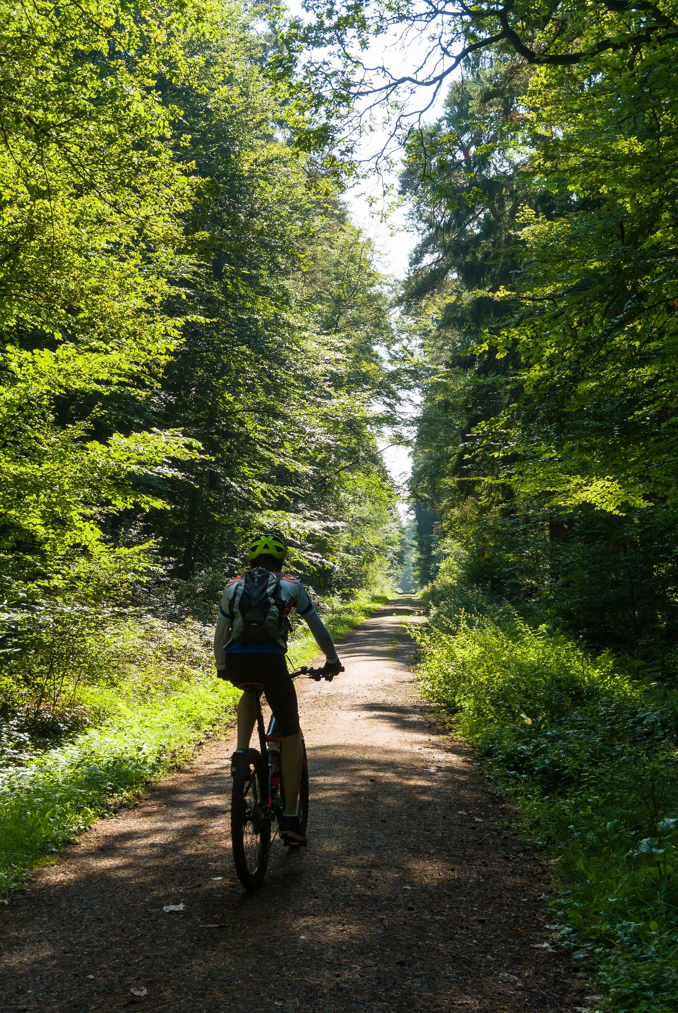 Cycling loops near me online