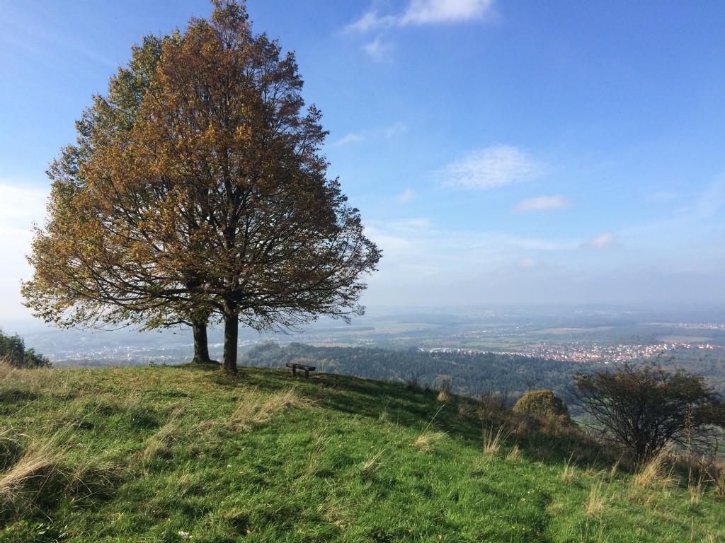 Top 20 Randonnées Et Balades Dans Le Jura Souabe | Komoot