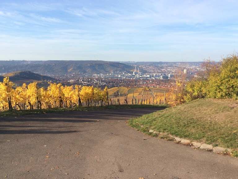 Top 20 randonnées et balades autour de Neustadt (Hessen) Komoot