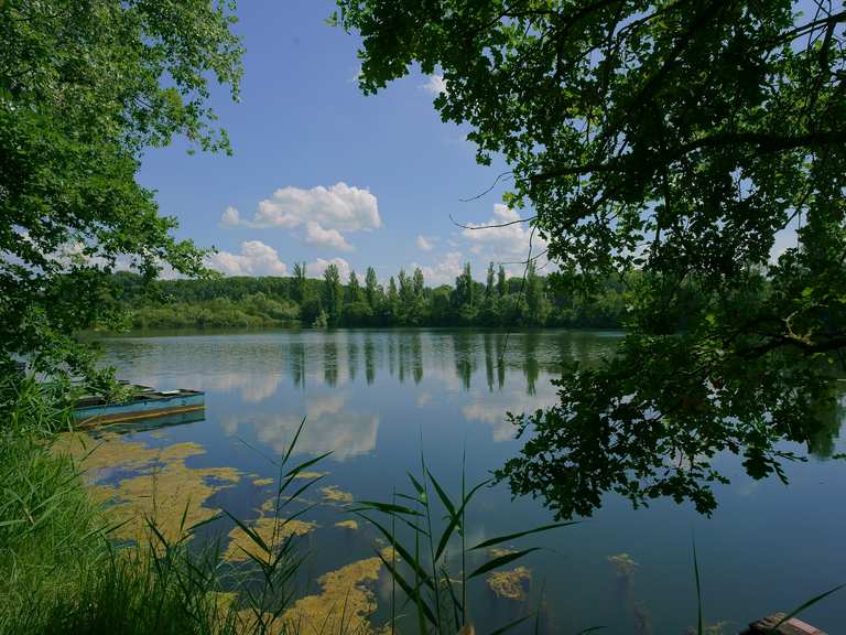 Top 10 Hikes And Walks Around Neuhofen Komoot