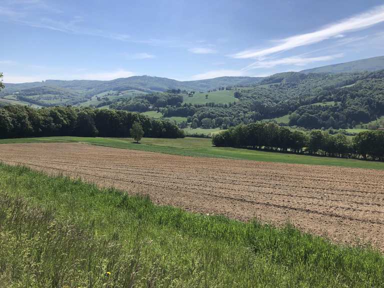Die schönsten Radtouren rund um Neustift-Innermanzing | Komoot