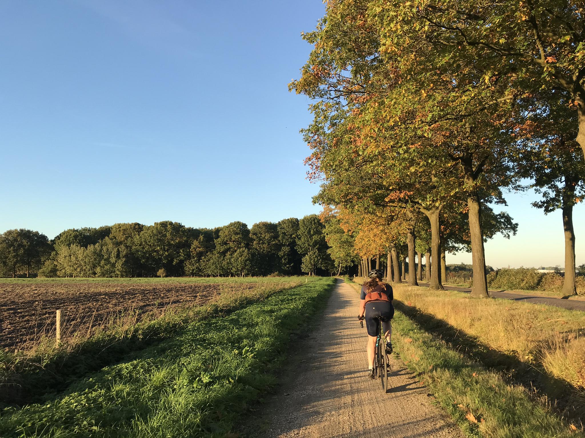 De 20 Mooiste Fietsroutes In Noord-Brabant | Komoot