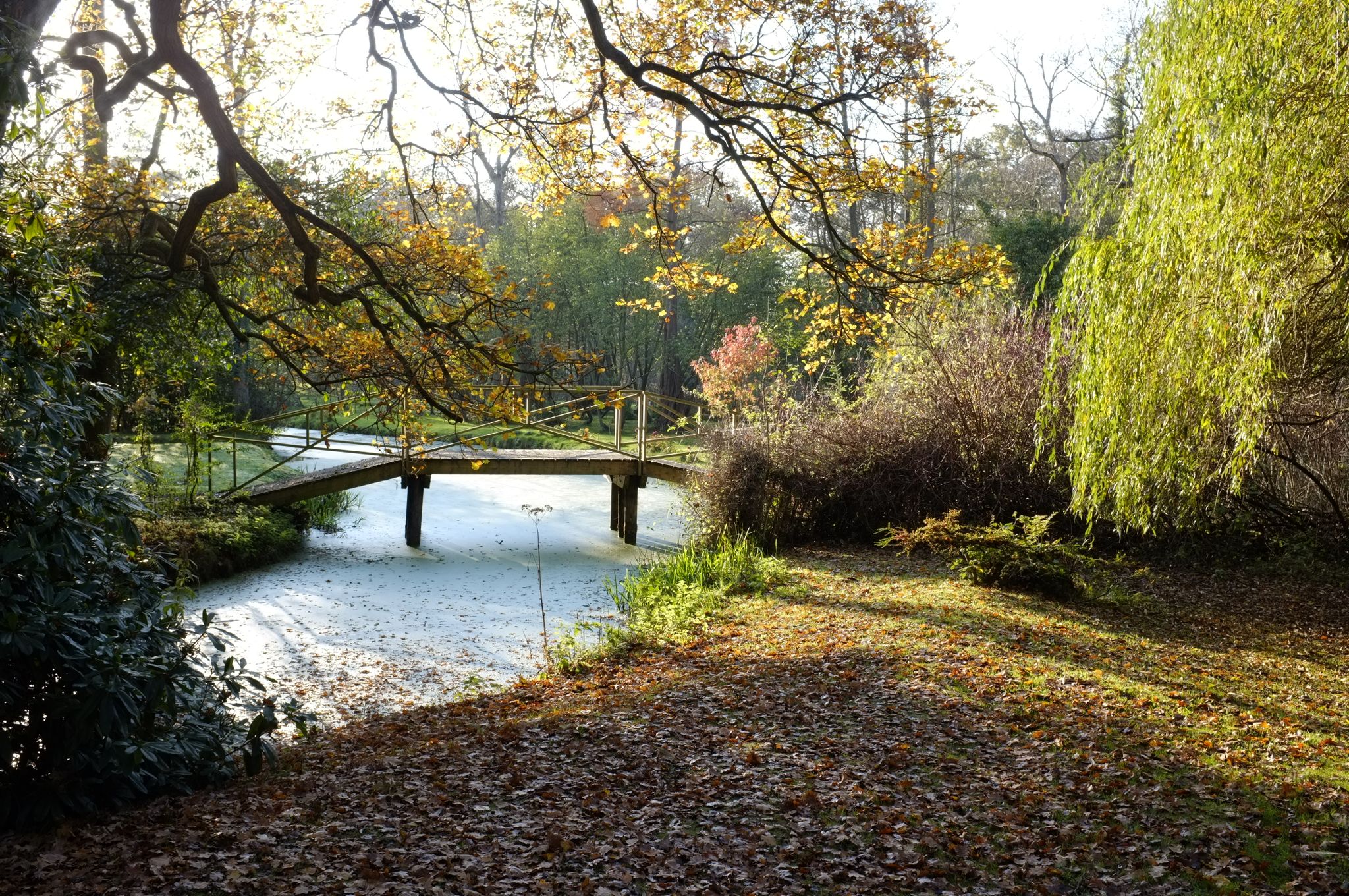 visit norfolk walks