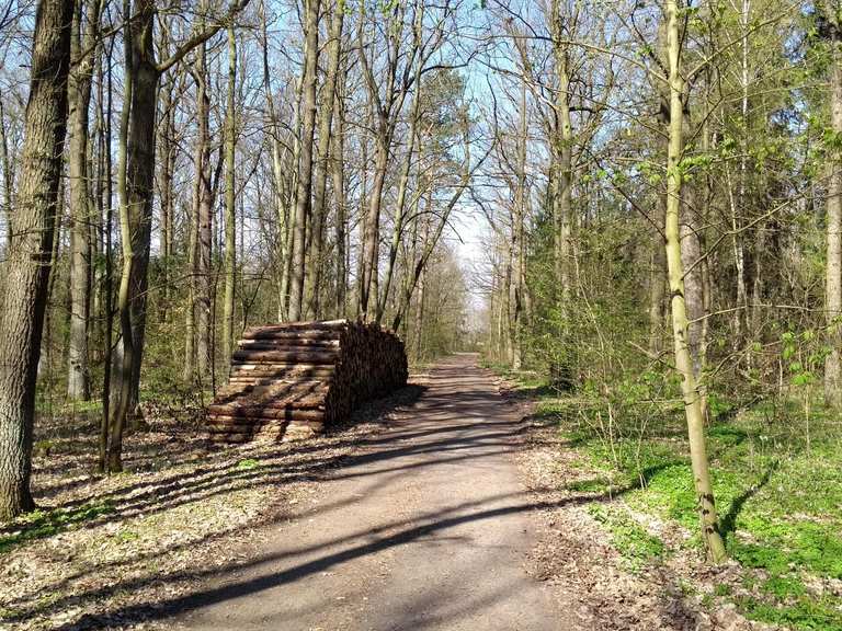 Ausflugsziele rund um den Boxberg - Die Top 10 | Komoot
