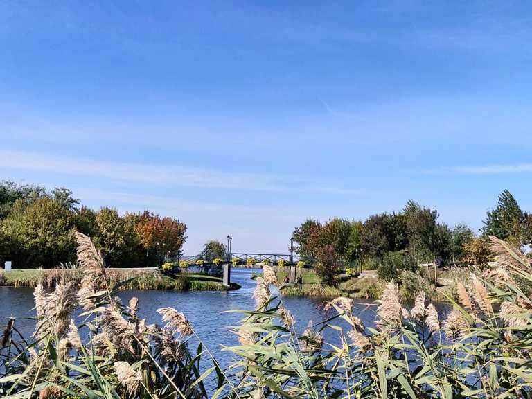 Top 9 Bike Rides and Cycling Routes around Comana Natural Park | Komoot