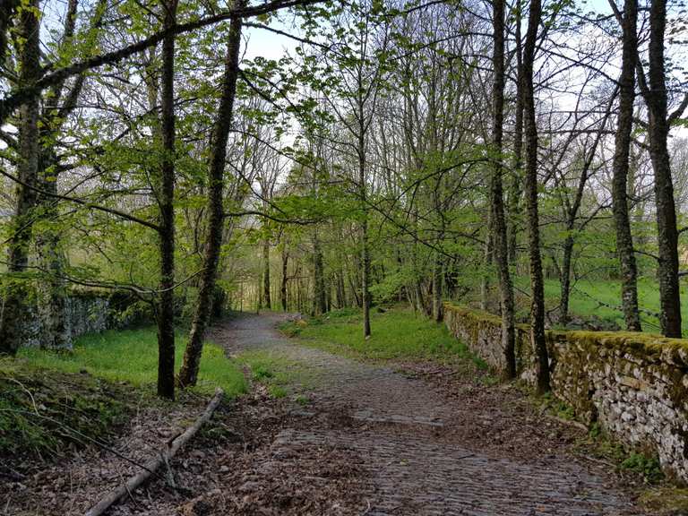 Top 5 randonnées et balades autour de Forête Casentinesi, Monte ...