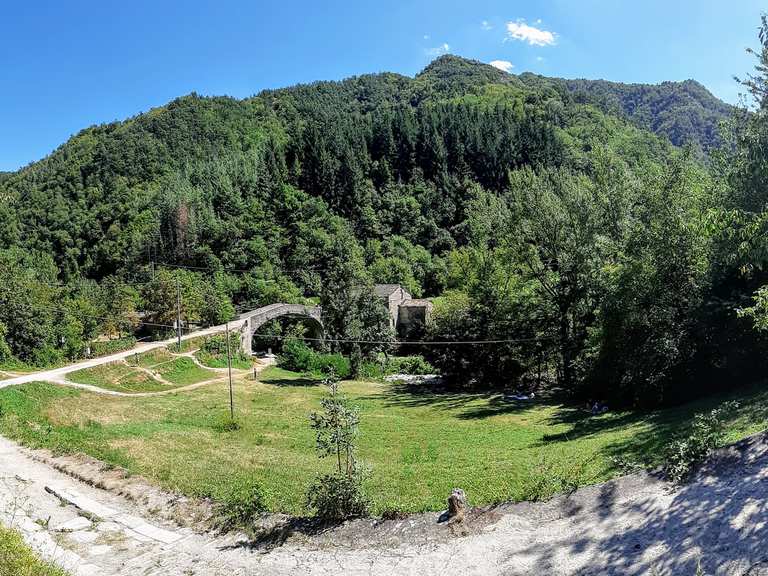 Las 20 rutas en MTB más top en Foreste Casentinesi, Monte Falterona, Campigna National Park Komoot