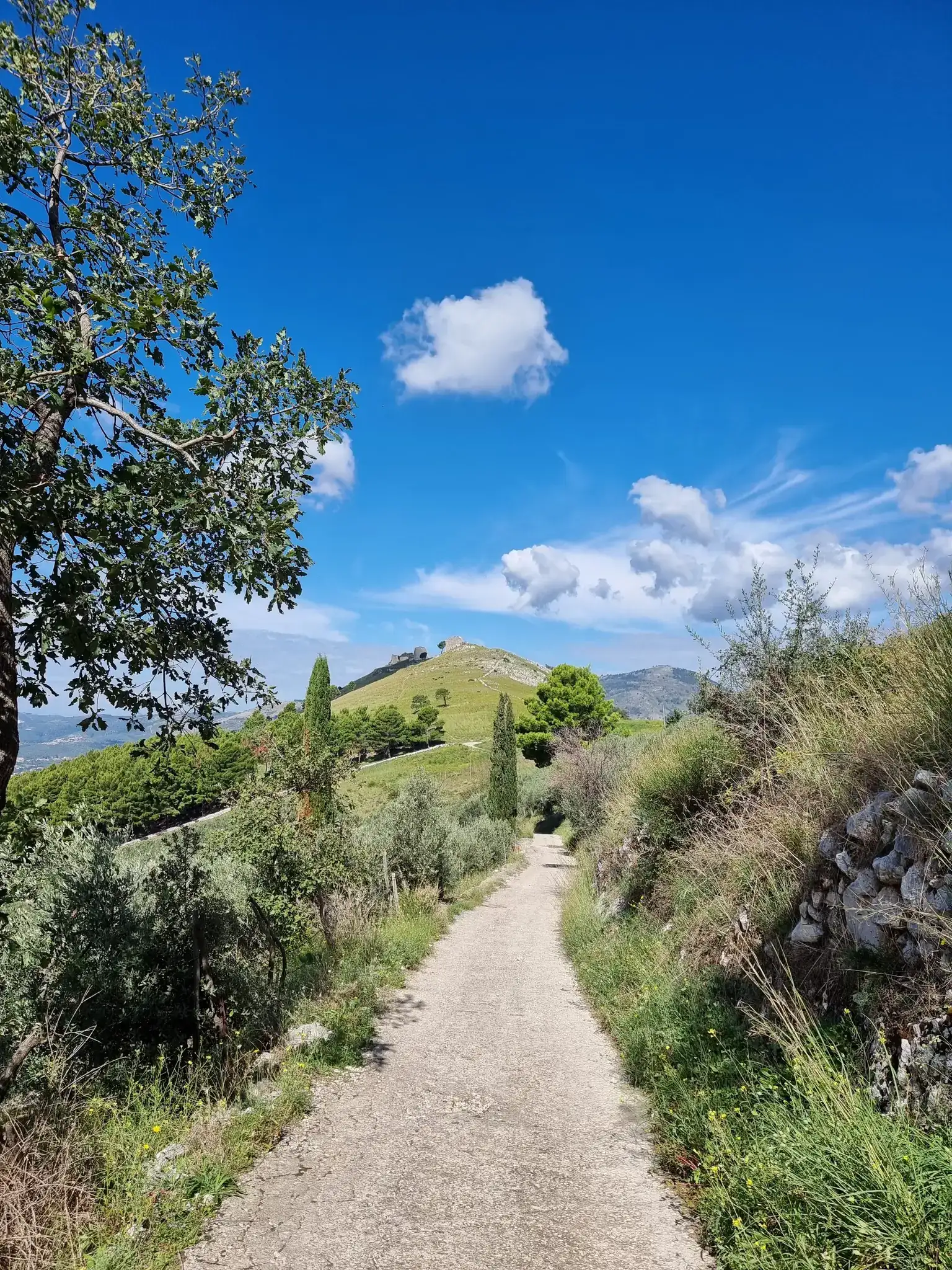 Top 10 Hikes and Walks around Partenio Regional Park | Komoot