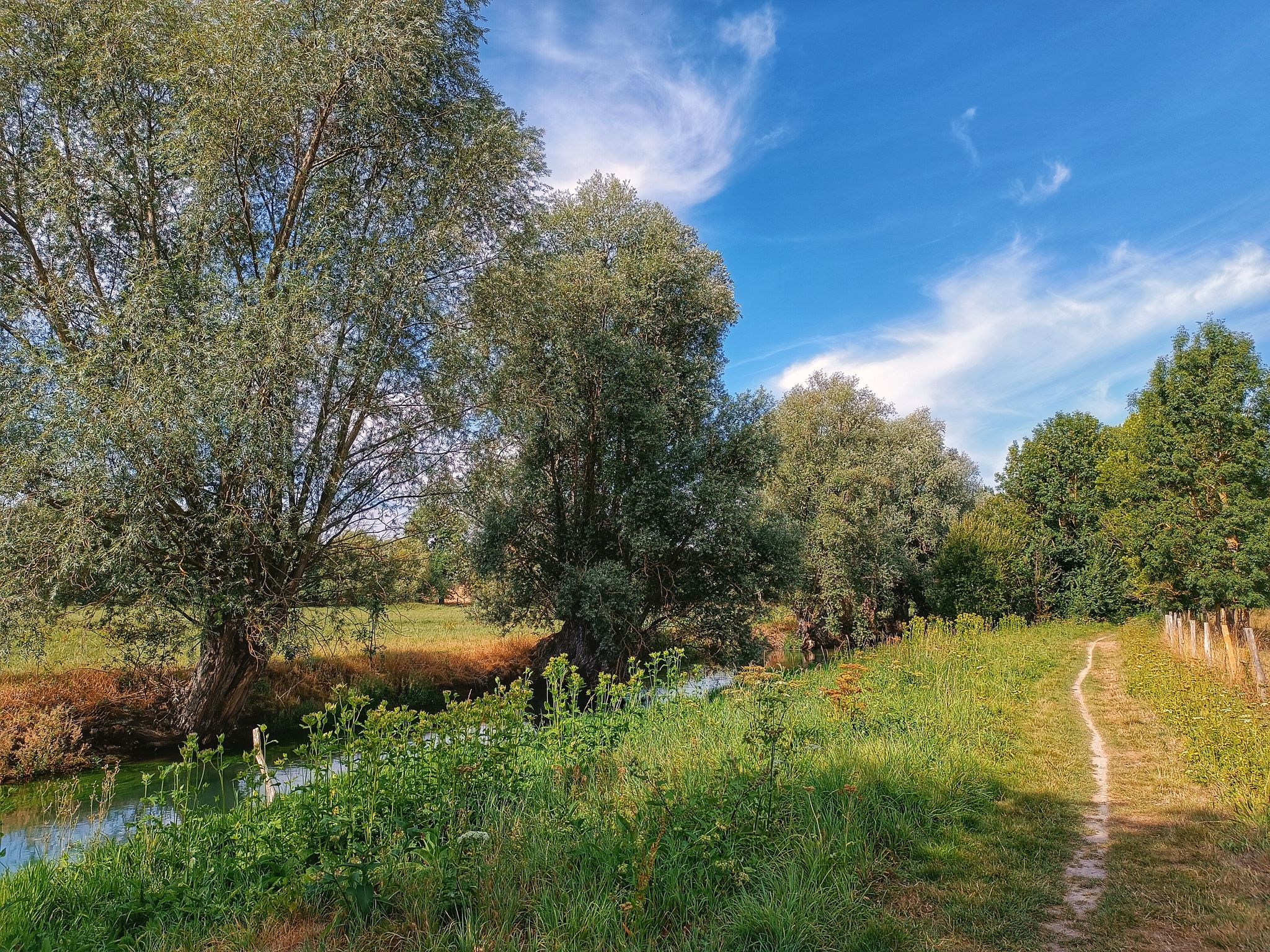 Top 20 rando VTT et circuits autour du Pas de Calais itineraires idees Komoot