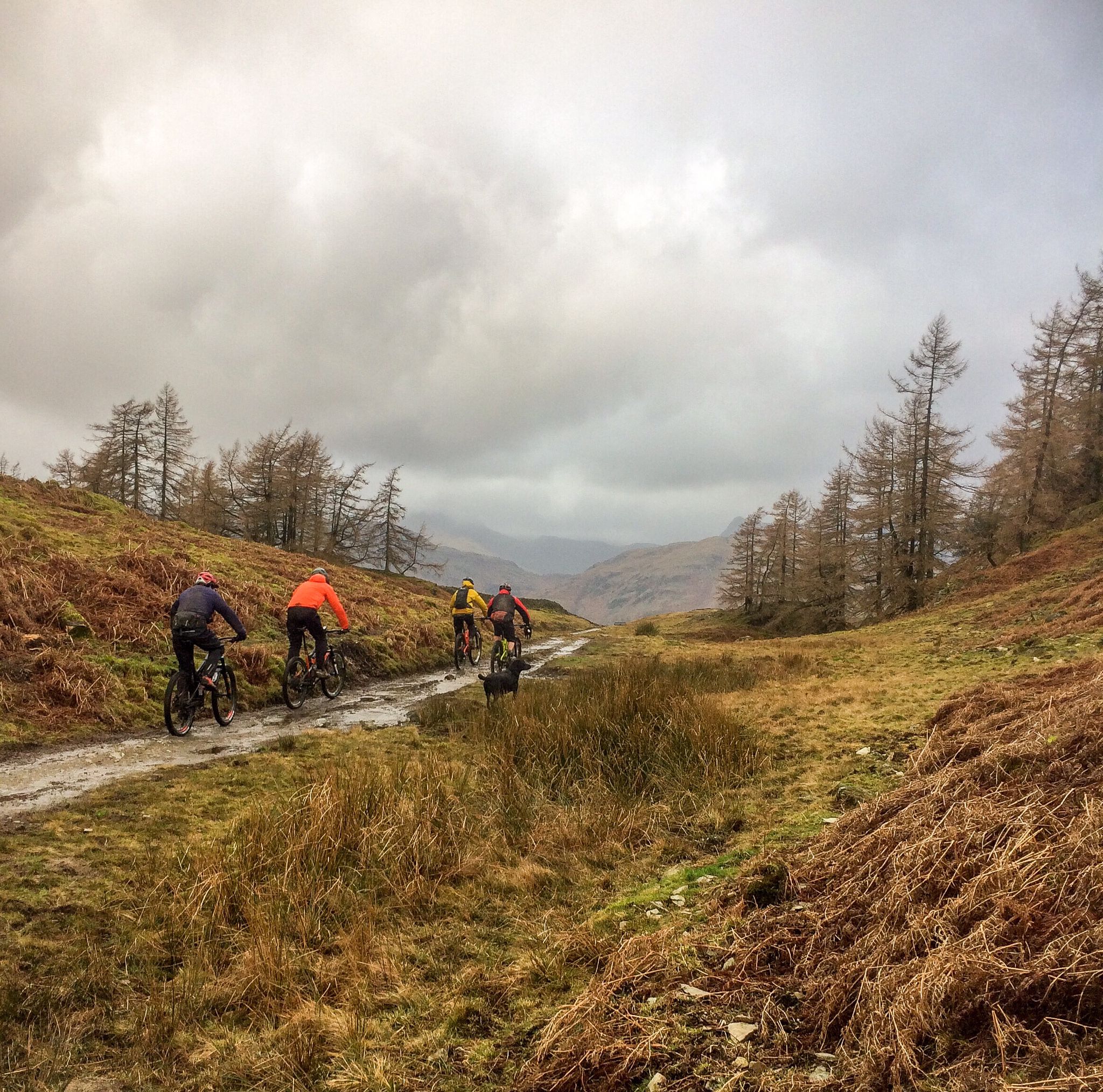 Top 5 Most Beautiful MTB Trails in Lake District Komoot