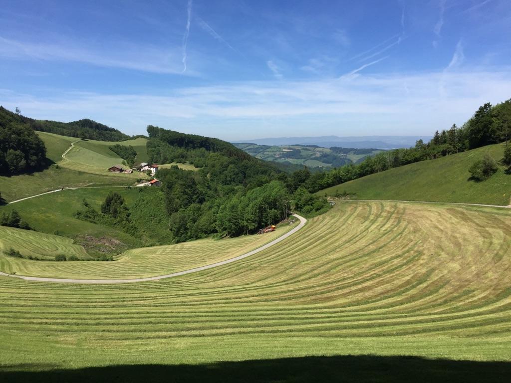 Die 10 Schönsten Wanderungen Rund Um St. Pölten | Komoot