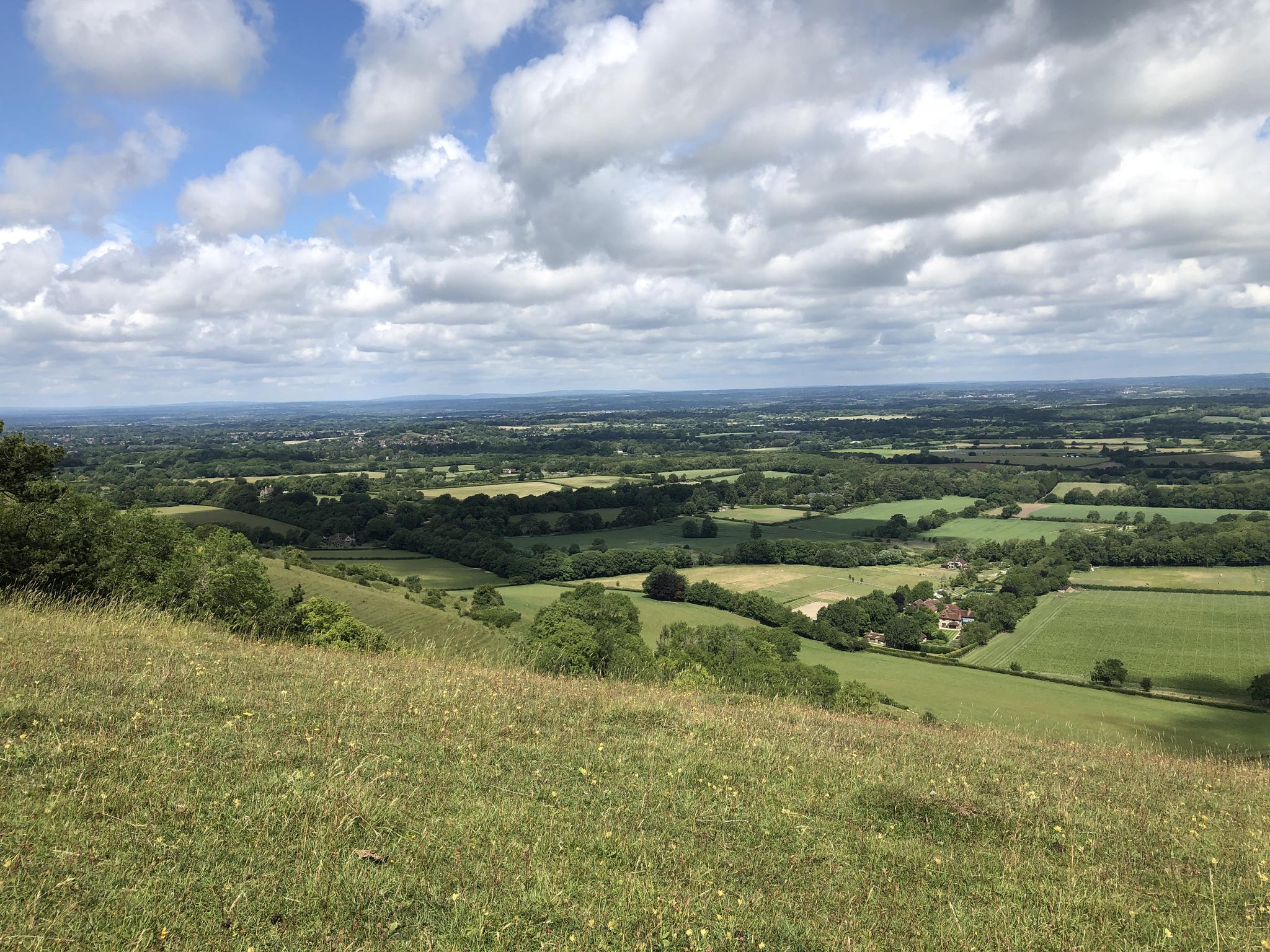 south downs mtb trails