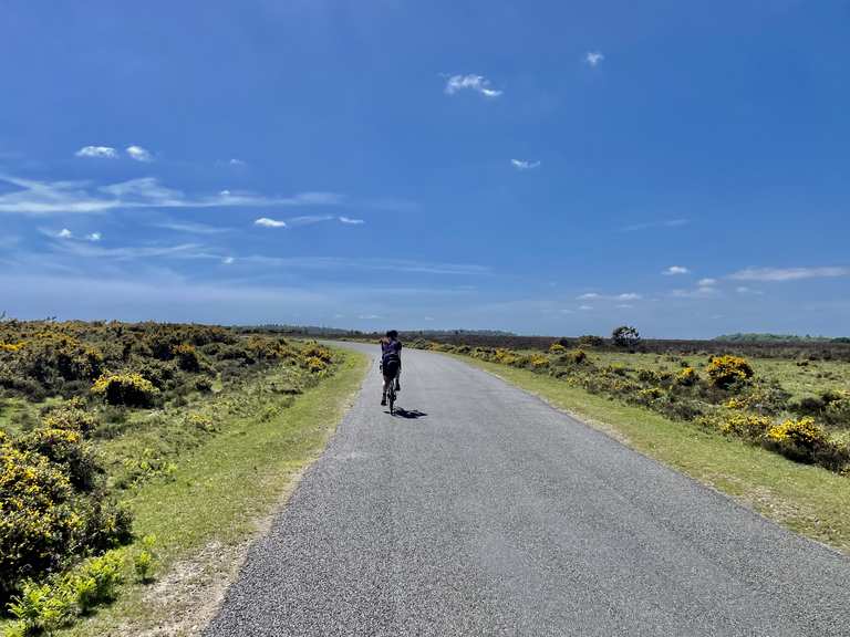 Top 10 Bike Rides and Cycling Routes in New Forest National Park | Komoot