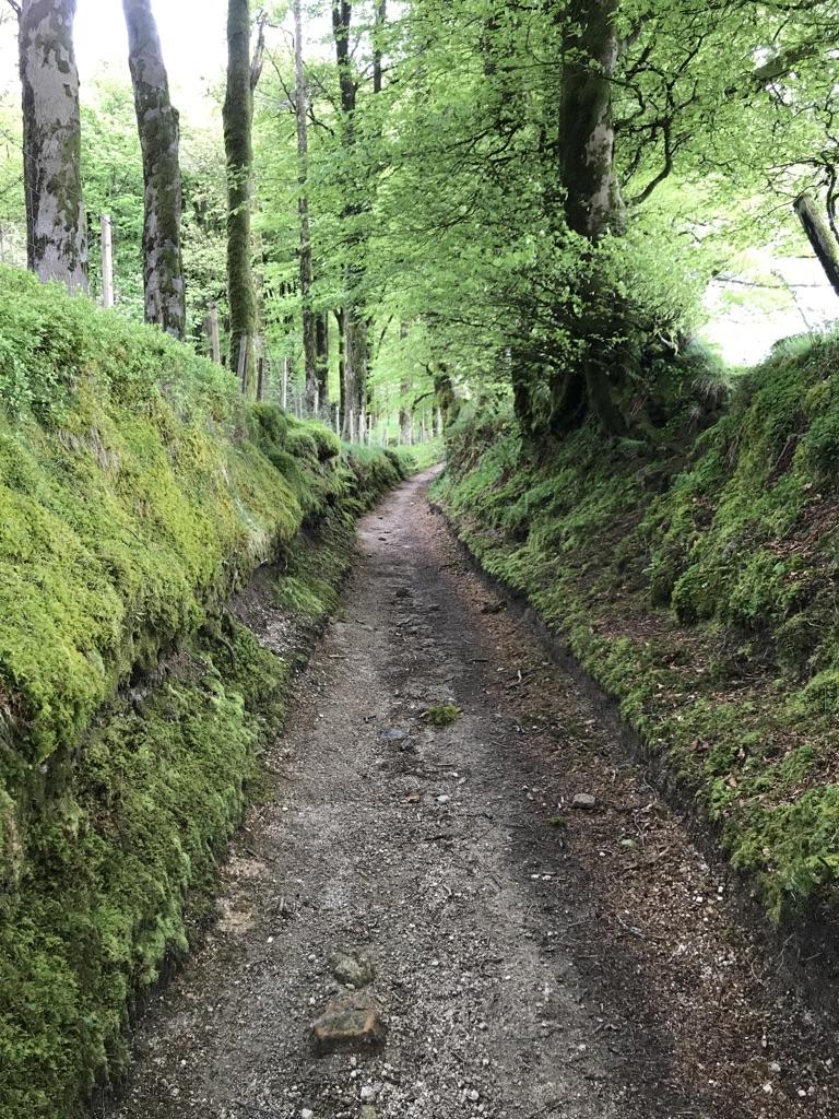 dartmoor mountain bike trails