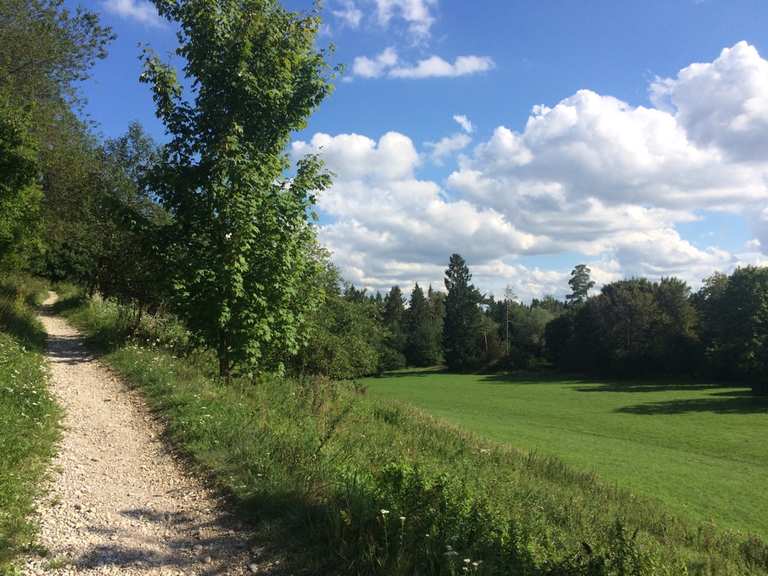 37+ Teiche Im Wald Perlacher Forst, Ein etwas größerer teich