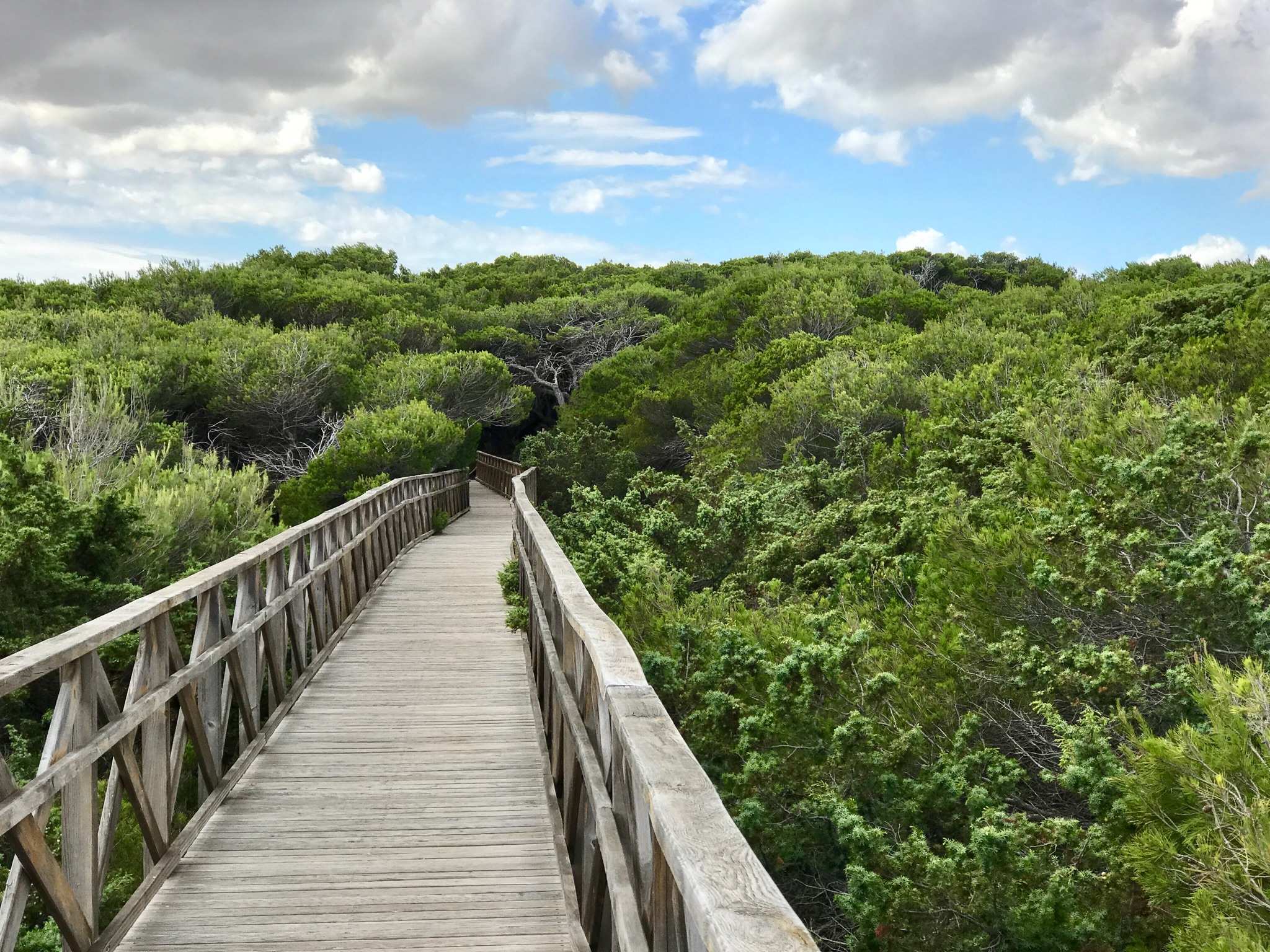 Die 20 schönsten Wanderungen rund um S Albufera De Mallorca | Komoot