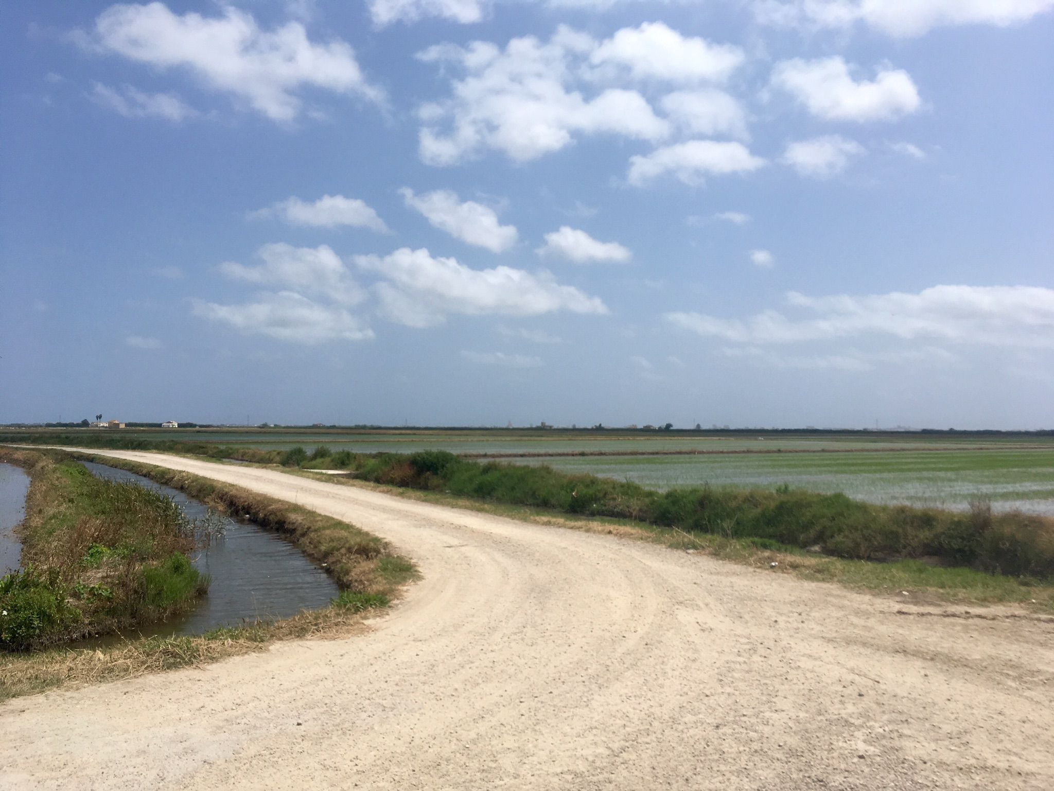 Ruta bici shops albufera