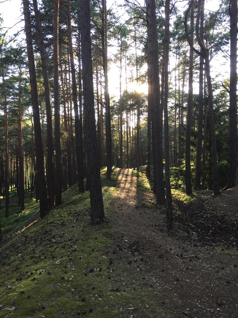 Top 10 Hikes And Walks Around Schwabach Komoot