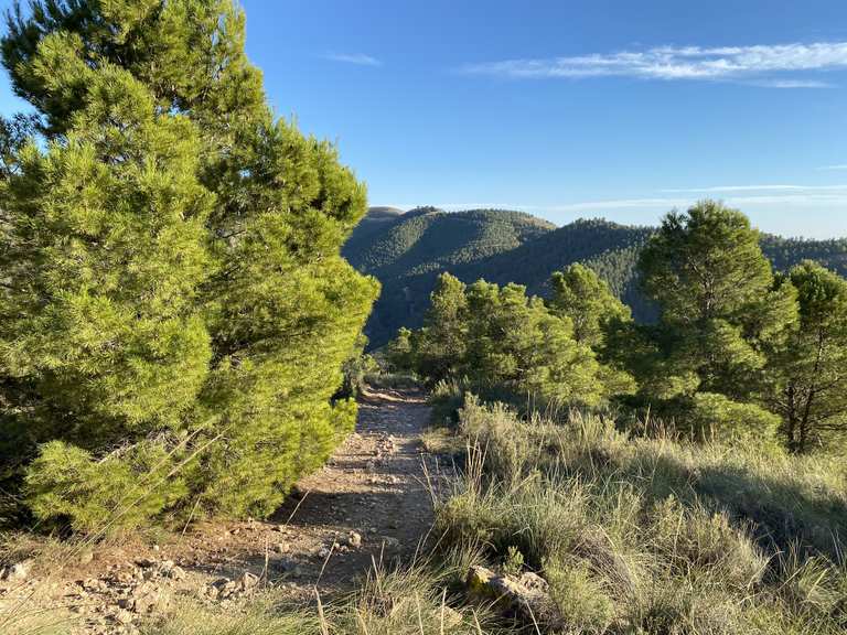 Top 10 Most Beautiful MTB Trails in Sierra De Gador Y Enix | Komoot